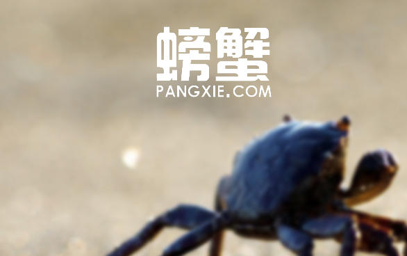 螃蟹交易平台官方网站链接_螃蟹交易平台在线交易服务