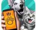 PetTranslator动物语言翻译器下载-PetTranslator宠物对话翻译器下载