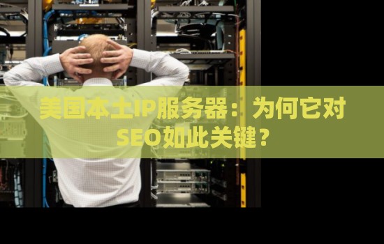 美国本土IP服务器：为何它对SEO如此关键？