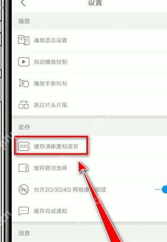 优酷视频APP怎么切换多语言音轨第2步操作界面