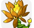 植物大战僵尸融合版免费下载安装-pvz融合版游戏下载